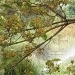 Le net flou, qu'est-ce que cela nous raconte