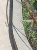 2025-05-5 M.A. 1 .jpg