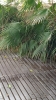 2024-12-2 M.A. 2 .jpg