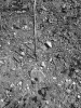 1 2024-05-20 M.A.   (4).jpeg