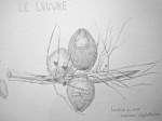 Louvre, une breve histoire de l'avenir, cours de dessin, dessiner au Louvre. 