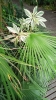 42024-11-11 M.A.  9 .jpg