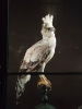 2024-01-13 Cl. 5 .jpg