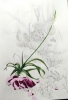 42024-11-11 Cl. 3 .jpg