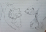 Muséum, exposition espèces d'ours, dessiner les animaux, croquis sur le vif, 