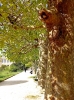 2024-04-14 M.A. 10 .jpg