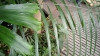 2024-11-11 M.A.  11 .jpg