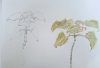 2024-09-23 Do. 8  .jpeg