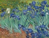 0 fleurs vincent-van-gogh-les-iris-1889 .jpg