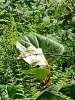 0 2025-04-28 M.A. 6 .jpg