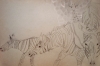 muséum,grande galerie de l'évolution,cours de dessin,dessiner les animaux,dessiner les plantes,girafe,zebre,calmar géant