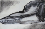 Muséum, galerie de paléontologie anatomie comparée, dessin, croquis