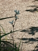 1 2025-04-28 M.A. 12 .jpg