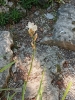 1 2025-04-28 M.A. 9 .jpg