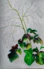 2025-05-26 Cl. 2 .jpg