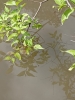 1- 2025-06-2 M.A. 1 .jpg