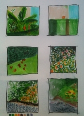 dessiner au jardin des plantes, dessiner la nature, la couleur, exercice de couleur, 