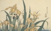0 hokusai Iris et sauterelle 1833-34  .jpg