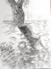 2025-05-5 Ma. 2 .jpg