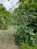 2025-05-26 Cl. 1 .jpg