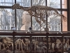 jardin des plantes,muséum,cours de dessin,cours à paris,galerie de paléontologie,galerie d'anatomie comparée,paris