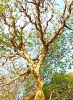 2024-04-14 M.A. 34-1  .jpg