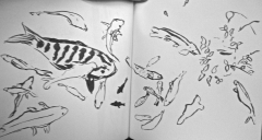 croquis,dessin,dessiner les oiseaux,aquarelle