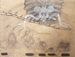 dessin de tortue, ménagerie du jardin des plantes, galerie de paléontologie, 