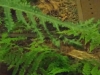 2024-01-06 M.A. 30 .jpg