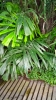42024-11-11 M.A.  3 .jpg