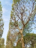 2024-04-14 M.A. 34 .jpg