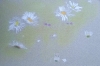 0 2024-05-13 M.A. 1 .jpeg
