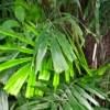 42024-11-11 M.A.  4 .jpg