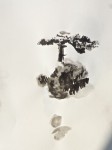 M. Françoise  - 1 arbre encre de chine.jpg 13:10:07.jpg