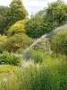 6- 2025-06-2 M.A. 17 .jpg