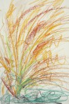 M. Marie-Hélène  - foisonnement 2 herbes crayon de couleur orange et vert.jpg 13:10:07.jpg