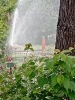 0- 2025-06-2 M.A. 55 .jpg