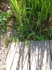 2025-04-28 M.A. 17 .jpg