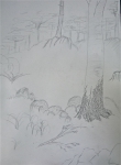 dessiner, peindre, la forêt, les arbres, 