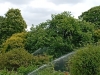 6- 2025-06-2 M.A. 14 .jpg