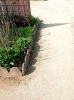 4 2025-04-14 M.A. 5 .jpg