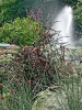 0- 2025-06-2 M.A. 53 .jpg