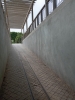 2025-06-9 M.A.. 4 .jpg