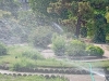 0- 2025-06-2 M.A. 44 .jpg