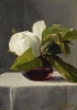 1 fleurs John La Farge (American, 1835-1910), 1  .jpg