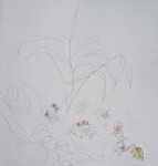 serres du jardin des plantes, plantes tropicales, dessin, croquis, aquarelle, dessiner les fleurs, 