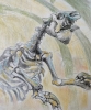 cours de dessin, dessiner à paris, galerie de paleontologie, galerie d'anatomie comparée, muséum