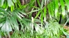 42024-11-11 M.A.  1 .jpg