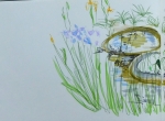 dessiner la nature, dessiner les fleurs, cours de dessin, jardin des plantes, les serres tropicales