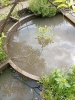 1- 2025-06-2 M.A. 4 .jpg